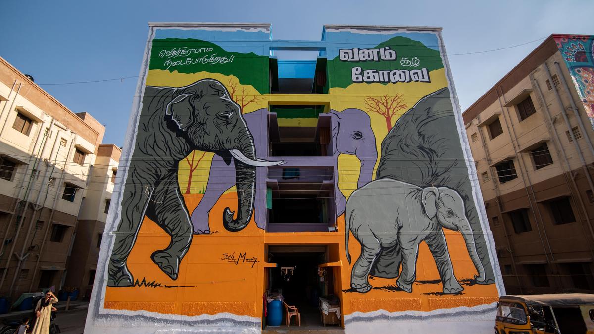 Coimbatore’s public spaces turn a canvas for art The Hindu
